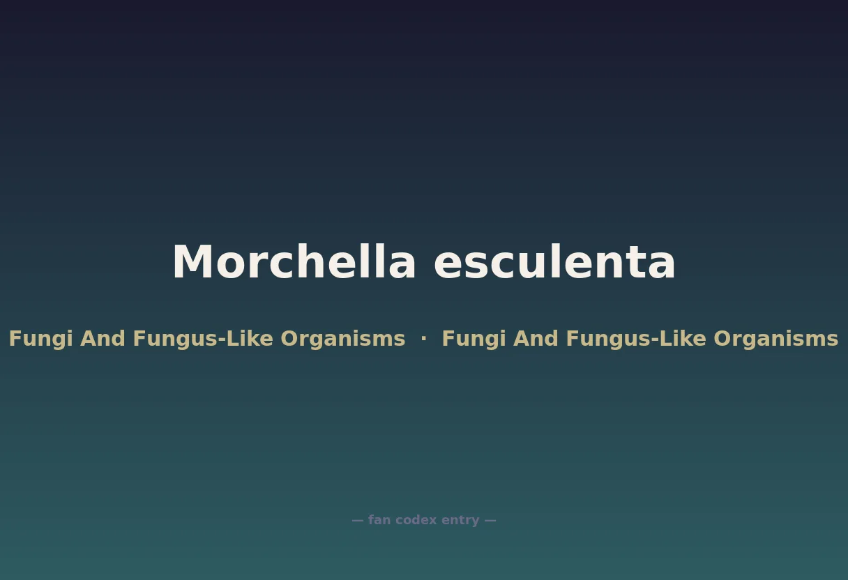 Morchella esculenta